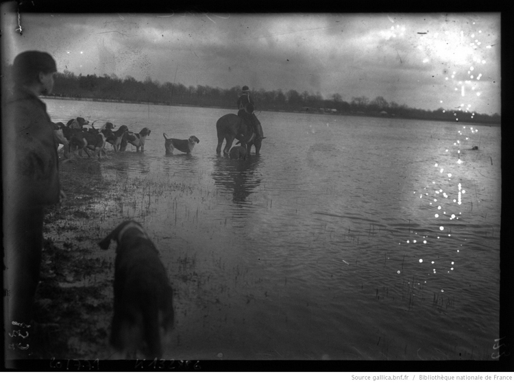 La meute au bord de l'étang - © BNF